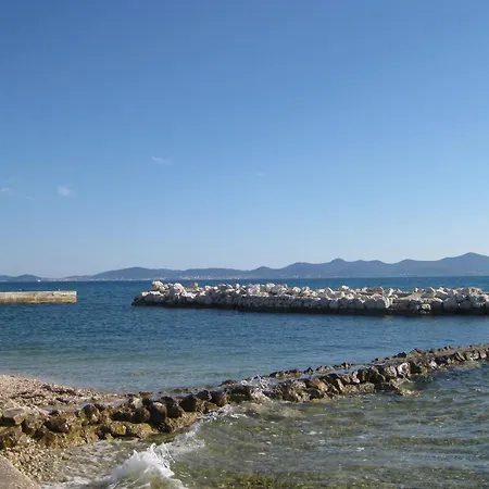 Krissy * Ζαντάρ