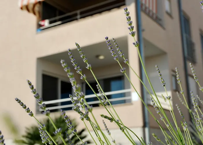 Krissy Appartamento *