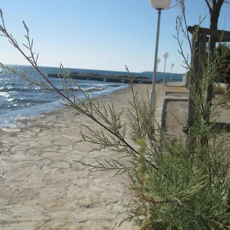 Apartment Krissy Zadar